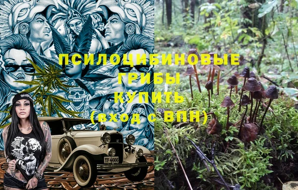 ГАЛЛЮЦИНОГЕННЫЕ ГРИБЫ Алексеевка