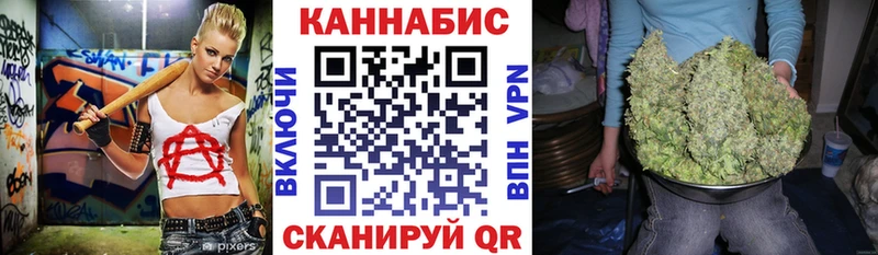 Бошки марихуана сатива  Михайловск 